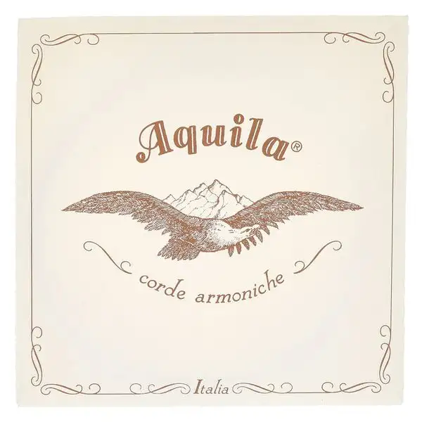 Aquila 104D140 Wound NG Lute String