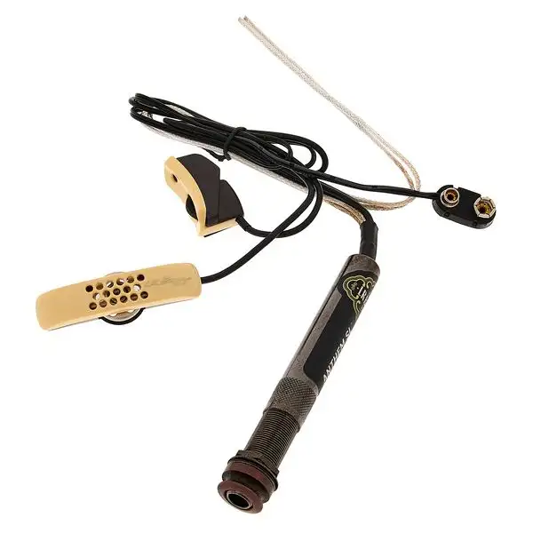 L.R.Baggs Anthem SL/SS