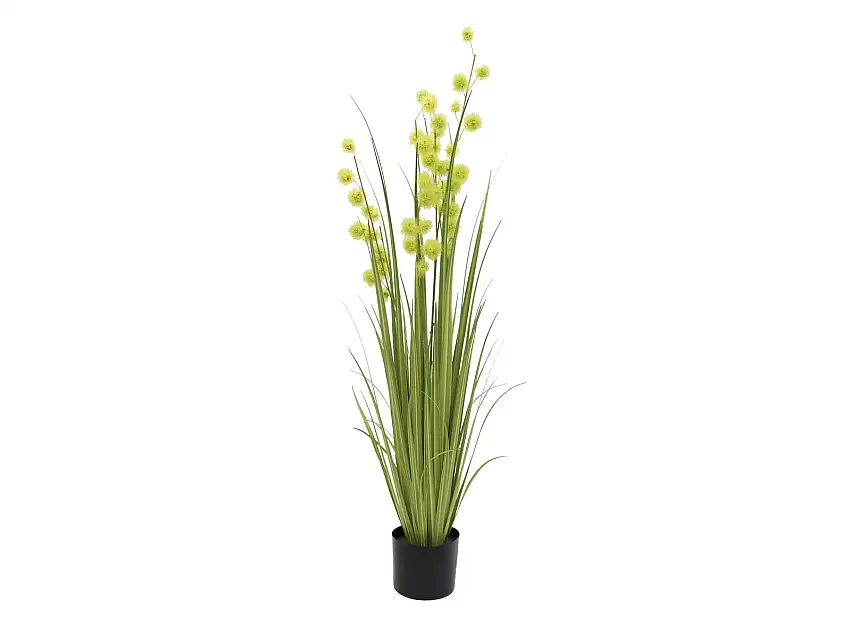 EUROPALMS Allium Grass, artificial, 122cm