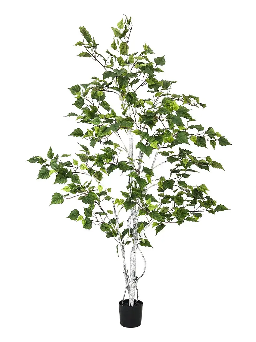 EUROPALMS Birch Tree, artificial plant, 150cm