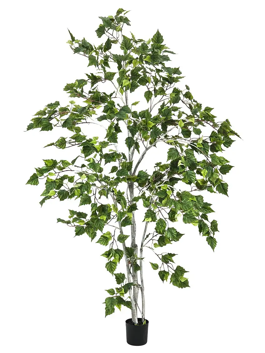 EUROPALMS Birch Tree, artificial plant, 180cm