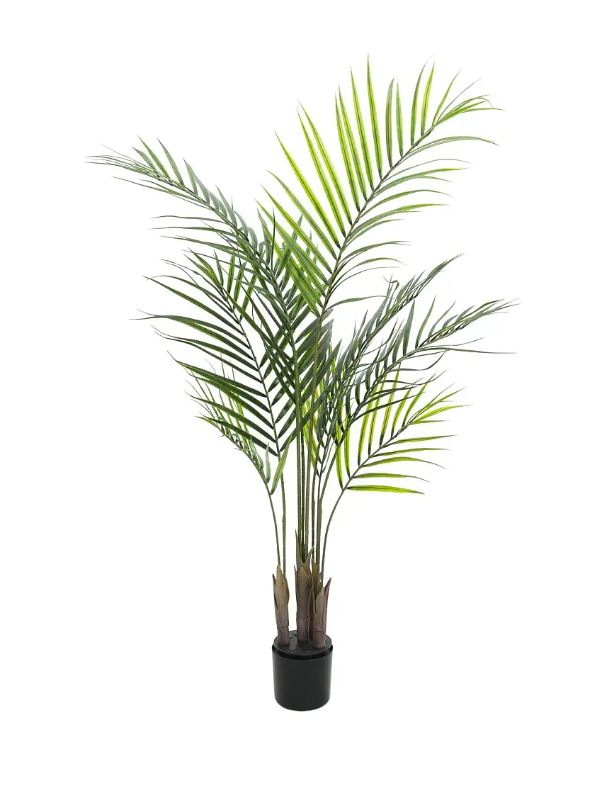 EUROPALMS Areca palm with big leaves, artificial plant, 125cm