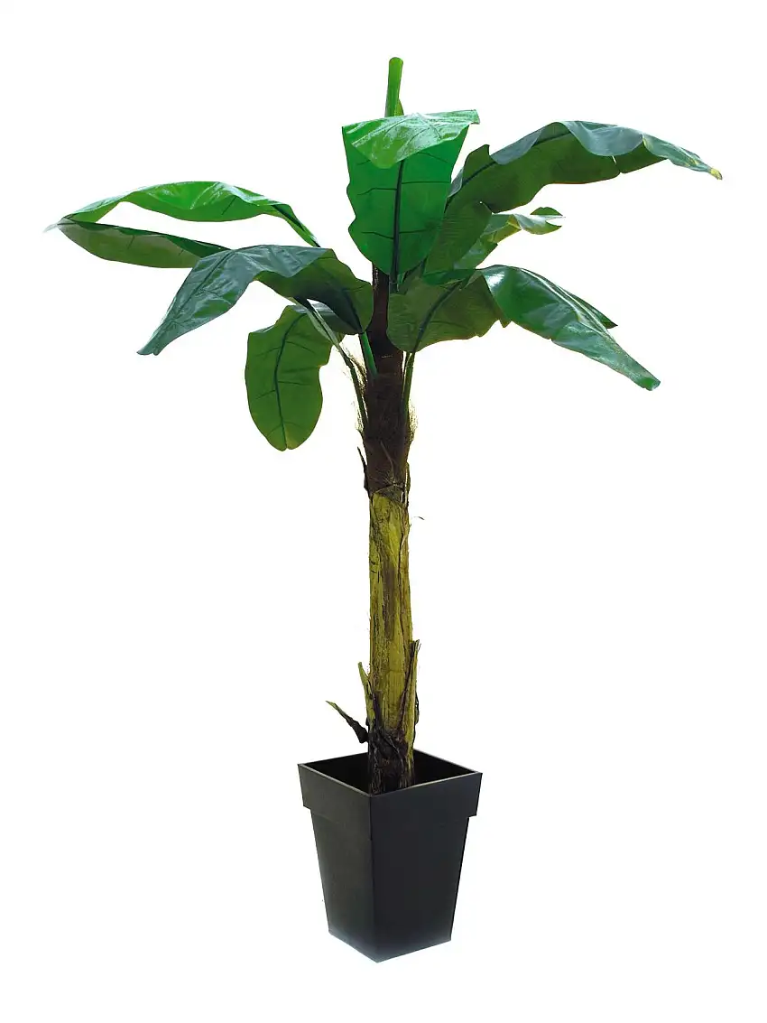EUROPALMS Banana Tree, artificial plant, 210cm