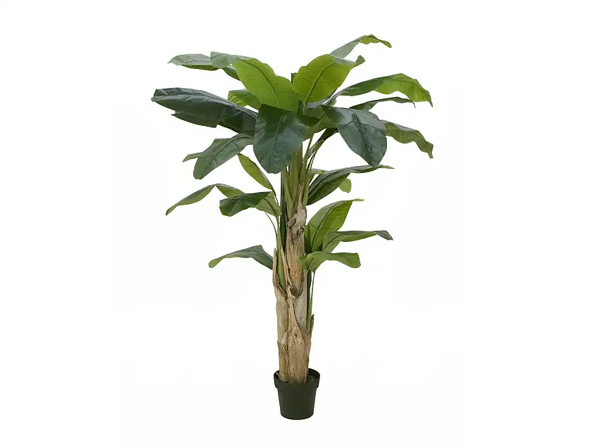 EUROPALMS Banana Tree, artificial plant, 170cm