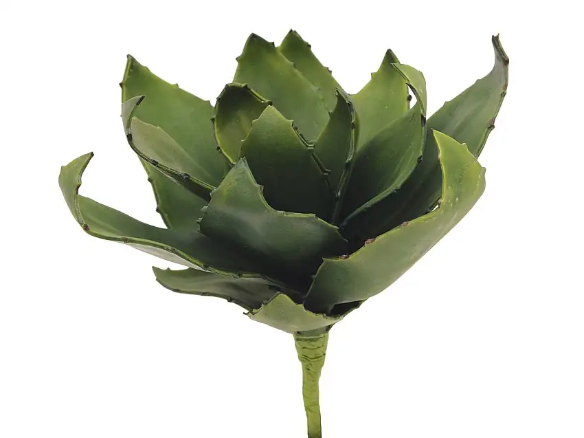 EUROPALMS Agave (EVA), artificial, green, 35cm