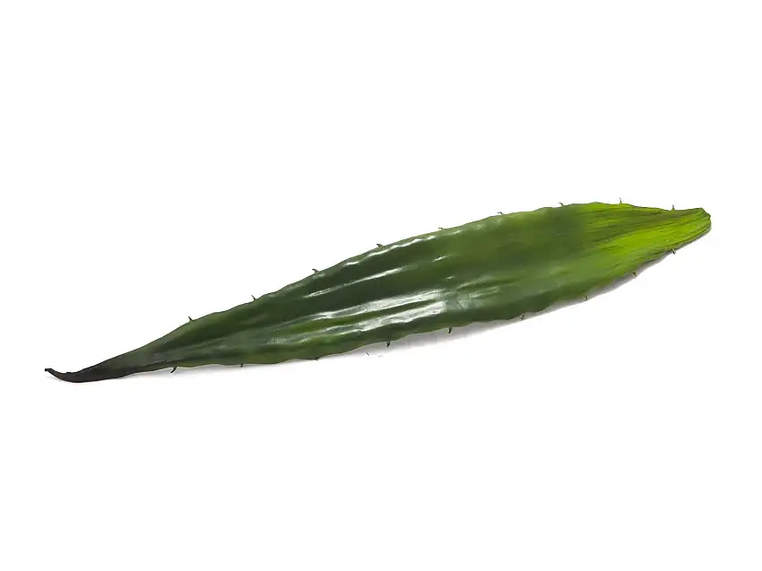 EUROPALMS Aloe leaf (EVA), artificial, green, 60cm