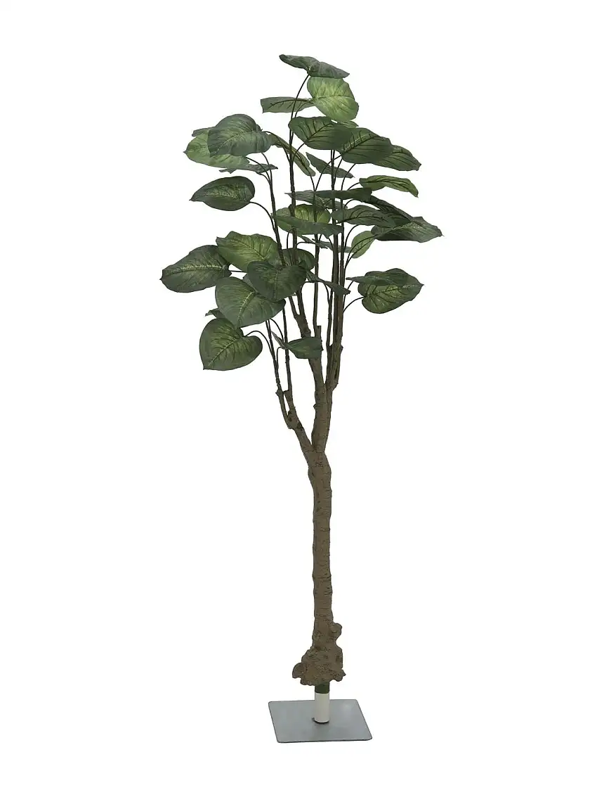 EUROPALMS Pothos tree, artificial plant, 175cm