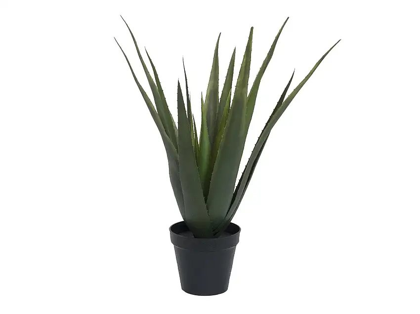 EUROPALMS Aloe Vera Plant, artificial plant, 60cm