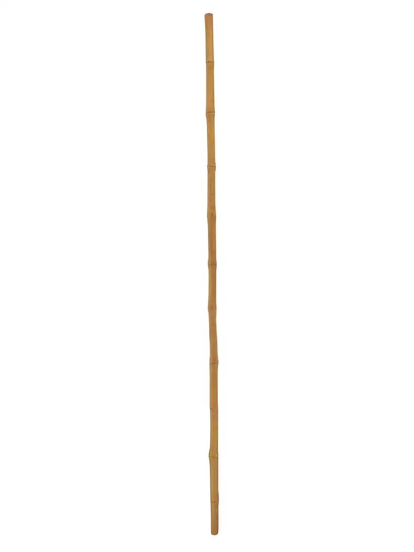 EUROPALMS Bamboo tube, Ø=3cm, 200cm