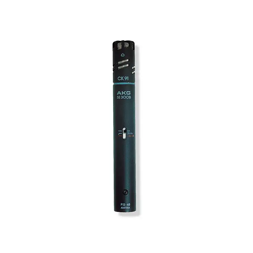 AKG C391B