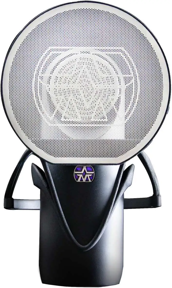 Aston Microphones Element