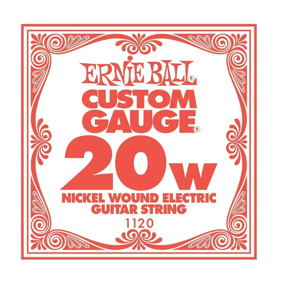 Ernie Ball EB-1120