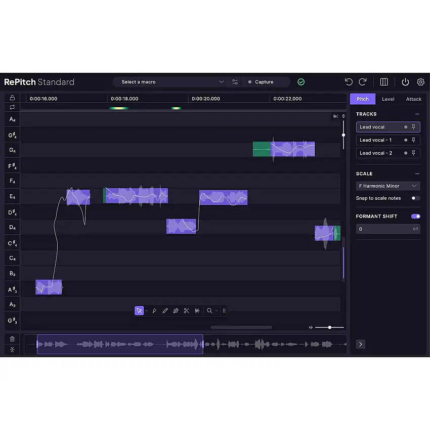 Synchro Arts RePitch Standard Upgrade
