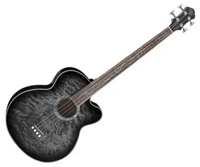 Michael Kelly Dragonfly 4 Smoke Burst Akustisk basgitarr