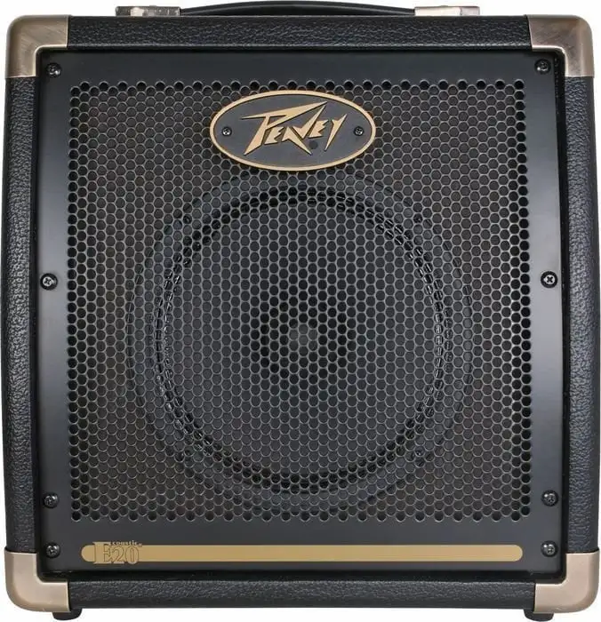 Peavey Ecoustic E20 Kombi för akustisk och elektrisk gitarr