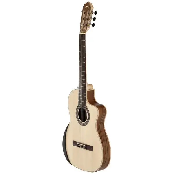 Manuel Rodriguez Ecologia Samba Plano Truss Rod