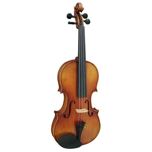 Hidersine Venezia Antiqued Viol. Set 3/4