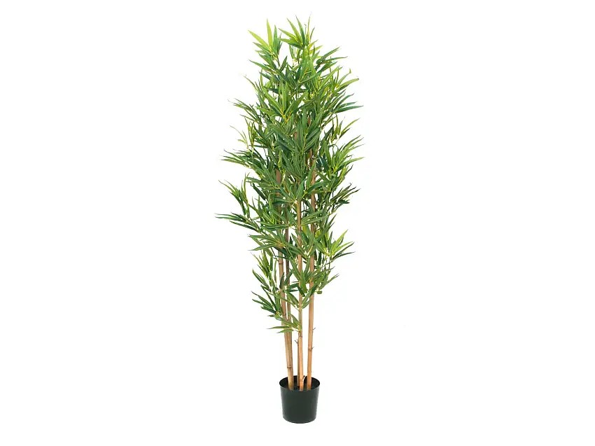 EUROPALMS Bamboo Deluxe, artificial plant, 150cm