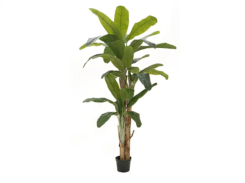 EUROPALMS Banana tree, artificial plant, 240cm