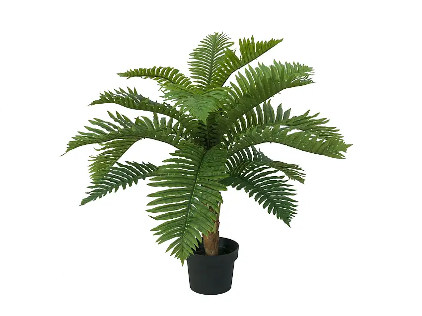 EUROPALMS Cycas Palm Tree, artificial plant, 70cm