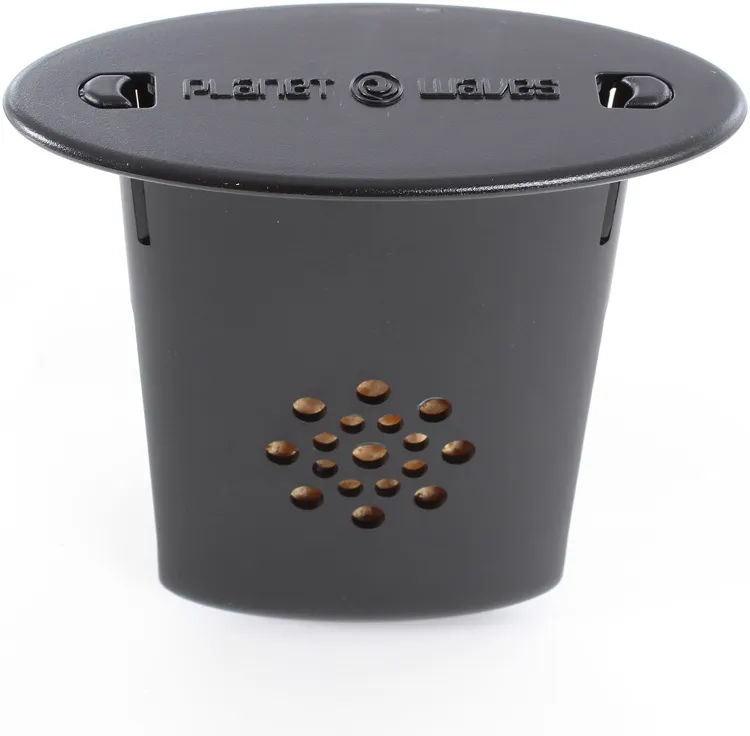 Planet Waves GH
