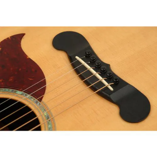 Planet Waves PWPS1