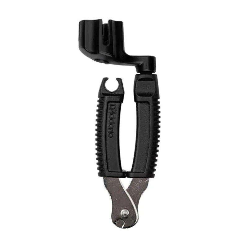 Planet Waves DP0002