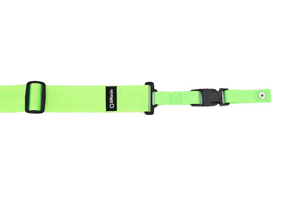 DiMarzio DD2200GNS