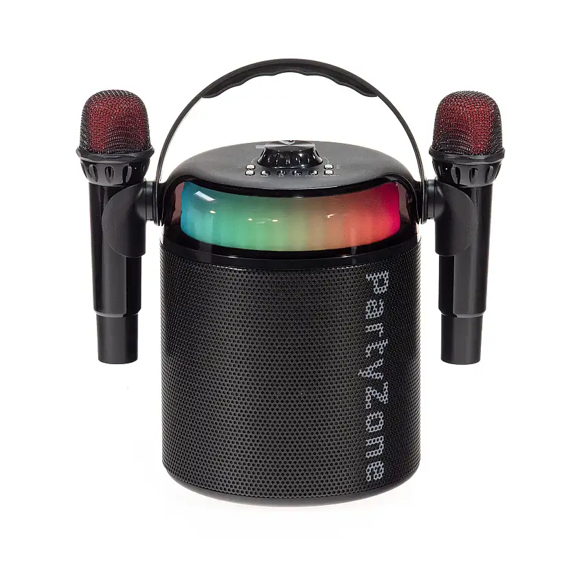 PartyZone Karaoke Set med 2 Mikrofoner (Svart)